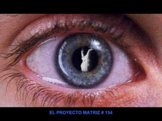 EL PROYECTO MATRIZ # 154 