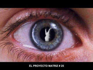 EL PROYECTO MATRIZ # 25 