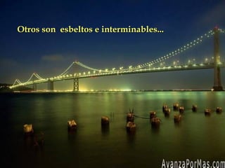 Otros son esbeltos e interminables...Otros son esbeltos e interminables...
 