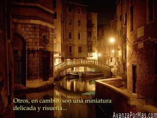 Otros, en cambio, son una miniaturaOtros, en cambio, son una miniatura
delicada y risueña...delicada y risueña...
 