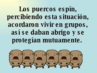 Los puercos espín, percibiendo esta situación, acordaron vivir en grupos, así se daban abrigo y se protegían mutuamente.  