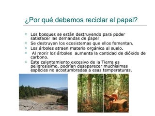 ¿Por qué debemos reciclar el papel? Los bosques se están destruyendo para poder satisfacer las demandas de papel Se destruyen los ecosistemas que ellos fomentan. Los árboles atraen materia orgánica al suelo. Al morir los árboles  aumenta la cantidad de dióxido de carbono. Este calentamiento excesivo de la Tierra es peligrosísimo, podrían desaparecer muchísimas especies no acostumbradas a esas temperaturas.  
