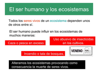 El ser humano y los ecosistemas Todos los  seres vivos  de un  ecosistema  dependen unos de otros entre sí. El ser humano puede influir en los ecosistemas de muchos maneras: Caza o pesca en exceso. Incendio o tala de bosques, Uso abusivo de insecticidas en los cultivos. Alteramos los ecosistemas provocando como consecuencia la muerte de seres vivos. 