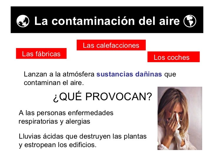 Que gasolina es mejor verter en ladu a la beca