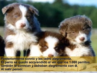 Posteriormente sonrió y les ladró   alegremente.  El perro se quedó sorprendido al ver que   los 1.000 perritos también le sonreían y ladraban alegremente con él.  Al salir pensó: 