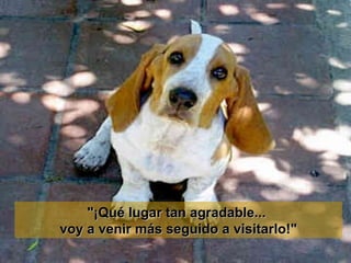 "¡Qué   lugar tan agradable...  voy a venir más seguido a visitarlo!" 