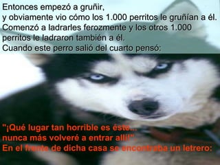 Entonces empezó a gruñir,   y  obviamente vio cómo los 1.000 perritos   le gruñían a él. Comenzó a ladrarles ferozmente y los otros 1.000 perritos   le   ladraron también a él.  Cuando este perro salió del cuarto pensó: "¡Qué   lugar tan horrible es éste...  nunca más volveré a entrar allí!".  En el frente de dicha casa se encontraba un letrero: 