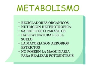 METABOLISMO
• RECICLADORES ORGANICOS
• NUTRICION HETEROTROFICA
• SAPROFITOS O PARASITOS
• HABITAT NATURAL ES EL
SUELO
• LA MAYORIA SON AEROBIOS
ESTRICTOS
• NO POSEEN LA MAQUINARIA
PARA REALIZAR FOTOSINTESIS
 