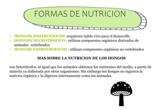 FORMAS DE NUTRICION
• HONGOS ZOOTROFIOCOS :requieren tejido vivo para el desarrollo
• HONGOS NECROTROFICO : utilizan compuestos orgánicos derivados de
animales vertebrados
• HONGOS SAPROTROFICOS : utilizan compuestos orgánicos no vertebrados
MAS SOBRE LA NUTRICION DE LOS HONGOS
son heterótrofos, al igual que los animales obtienen los nutrientes del medio, a partir de
materia ya elaborada por otros organismos. Sin embargo los hongos no ingieren la
materia orgánica y la digieren internamente como los animales.
 