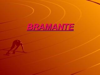 BRAMANTE 