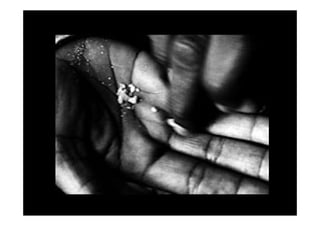 El Reportaje FotográFico Web Ii