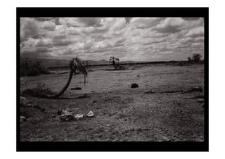 El Reportaje FotográFico Web Ii