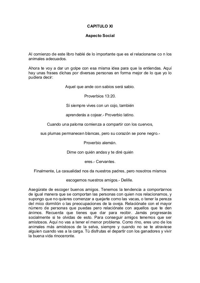 El rinoceronte