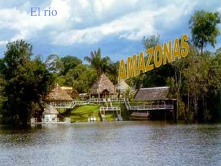 AMAZONAS AMAZONAS El río 