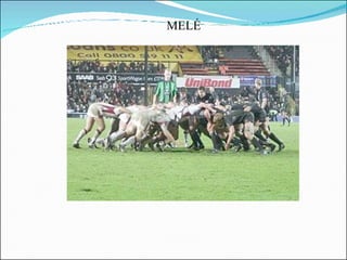 MELÉ 