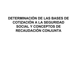 DETERMINACIÓN DE LAS BASES DE
COTIZACIÓN A LA SEGURIDAD
SOCIAL Y CONCEPTOS DE
RECAUDACIÓN CONJUNTA
 