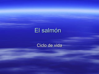 El salmón  Ciclo de vida 