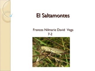 El Saltamontes Frances Nilmarie David  Vega 7-2 
