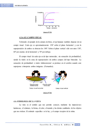 Sentido Horizontal El sentido-de-la-vista | DOCX