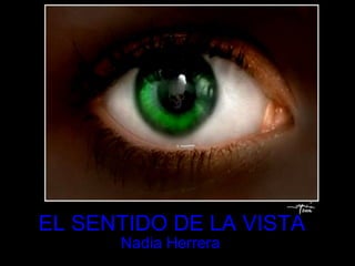 EL SENTIDO DE LA VISTA Nadia Herrera 