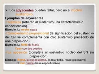  Los adyacentes pueden faltar, pero no el núcleo 
sustantivo. 
Ejemplos de adyacentes 
Adjetivos (refieren al sustantivo una característica o 
especificación). 
Ejemplo: La noche negra 
Complemento preposicional (la significación del sustantivo 
del SN se complementa con otro sustantivo precedido de 
una preposición). 
Ejemplo: La falda de María 
Casa con dos puertas 
La aposición (completa al sustantivo núcleo del SN sin 
preposición). 
Ejemplo: Roma, la ciudad eterna, es muy bella. (frase explicativa) 
El mar Caribe (frase especificativa) 
 