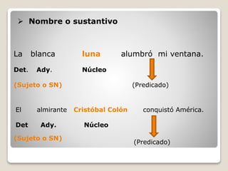  Nombre o sustantivo 
La blanca luna alumbró mi ventana. 
Det. Ady. Núcleo 
(Sujeto o SN) (Predicado) 
El almirante Cristóbal Colón conquistó América. 
Det Ady. Núcleo 
(Predicado) 
(Sujeto o SN) 
 