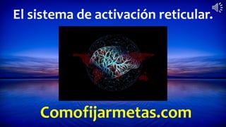Comofijarmetas.com
El sistema de activación reticular.
 