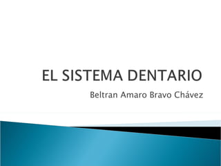 Beltran Amaro Bravo Chávez 