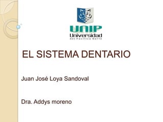 EL SISTEMA DENTARIO

Juan José Loya Sandoval


Dra. Addys moreno
 