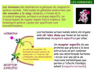 EL SISTEMA ENDOCRÍ | PPT