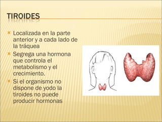 Localizada en la parte anterior y a cada lado de la tráquea Segrega una hormona que controla el metabolismo y el crecimiento. Si el organismo no dispone de yodo la tiroides no puede producir hormonas 