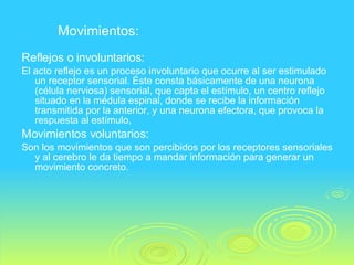 Reflejos o involuntarios: El acto reflejo es un proceso involuntario que ocurre al ser estimulado un receptor sensorial. Éste consta básicamente de una neurona (célula nerviosa) sensorial, que capta el estímulo, un centro reflejo situado en la médula espinal, donde se recibe la información transmitida por la anterior, y una neurona efectora, que provoca la respuesta al estímulo, Movimientos voluntarios:  Son los movimientos que son percibidos por los receptores sensoriales y al cerebro le da tiempo a mandar información para generar un movimiento concreto.  Movimientos: 