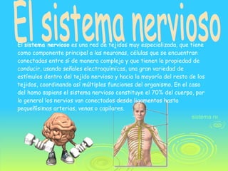 El sistema nervioso El  sistema nervioso  es una red de tejidos muy especializada, que tiene como componente principal a las neuronas, células que se encuentran conectadas entre sí de manera compleja y que tienen la propiedad de conducir, usando señales electroquímicas, una gran variedad de estímulos dentro del tejido nervioso y hacia la mayoría del resto de los tejidos, coordinando así múltiples funciones del organismo. En el caso del homo sapiens el sistema nervioso constituye el 70% del cuerpo, por lo general los nervios van conectados desde ligamentos hasta pequeñísimas arterias, venas o capilares. sistema nervioso 