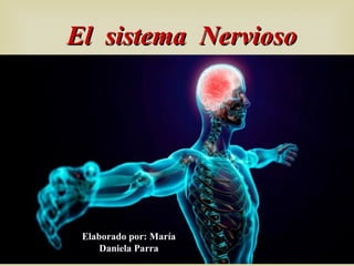 El sistema NerviosoEl sistema Nervioso
Elaborado por: María
Daniela Parra
 