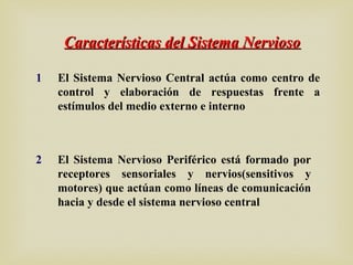 Características del Sistema NerviosoCaracterísticas del Sistema Nervioso
1 El Sistema Nervioso Central actúa como centro de
control y elaboración de respuestas frente a
estímulos del medio externo e interno
2 El Sistema Nervioso Periférico está formado por
receptores sensoriales y nervios(sensitivos y
motores) que actúan como líneas de comunicación
hacia y desde el sistema nervioso central
 