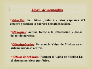 Tipos de neurogliasTipos de neuroglias
*AstrocitosAstrocitos: Se ubican junto a ciertos capilares del
cerebro y forman la barrera hematoencefálica.
*MicrogliasMicroglias: Actúan frente a la inflamación y daños
del tejido nervioso.
*OligodendrocitosOligodendrocitos: Forman la Vaina de Mielina en el
sistema nervioso central.
*Células de SchawnnCélulas de Schawnn: Forman la Vaina de Mielina En
el sistema nervioso periférico.
 