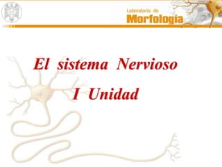El sistema Nervioso
I Unidad
 