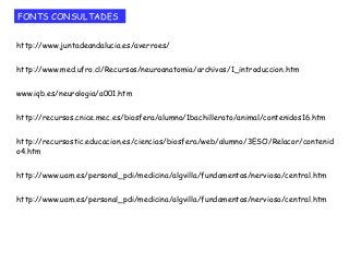 FONTS CONSULTADES
http://www.juntadeandalucia.es/averroes/
http://www.med.ufro.cl/Recursos/neuroanatomia/archivos/1_introduccion.htm
www.iqb.es/neurologia/a001.htm
http://recursos.cnice.mec.es/biosfera/alumno/1bachillerato/animal/contenidos16.htm
http://recursostic.educacion.es/ciencias/biosfera/web/alumno/3ESO/Relacor/contenid
o4.htm
http://www.uam.es/personal_pdi/medicina/algvilla/fundamentos/nervioso/central.htm
http://www.uam.es/personal_pdi/medicina/algvilla/fundamentos/nervioso/central.htm
 