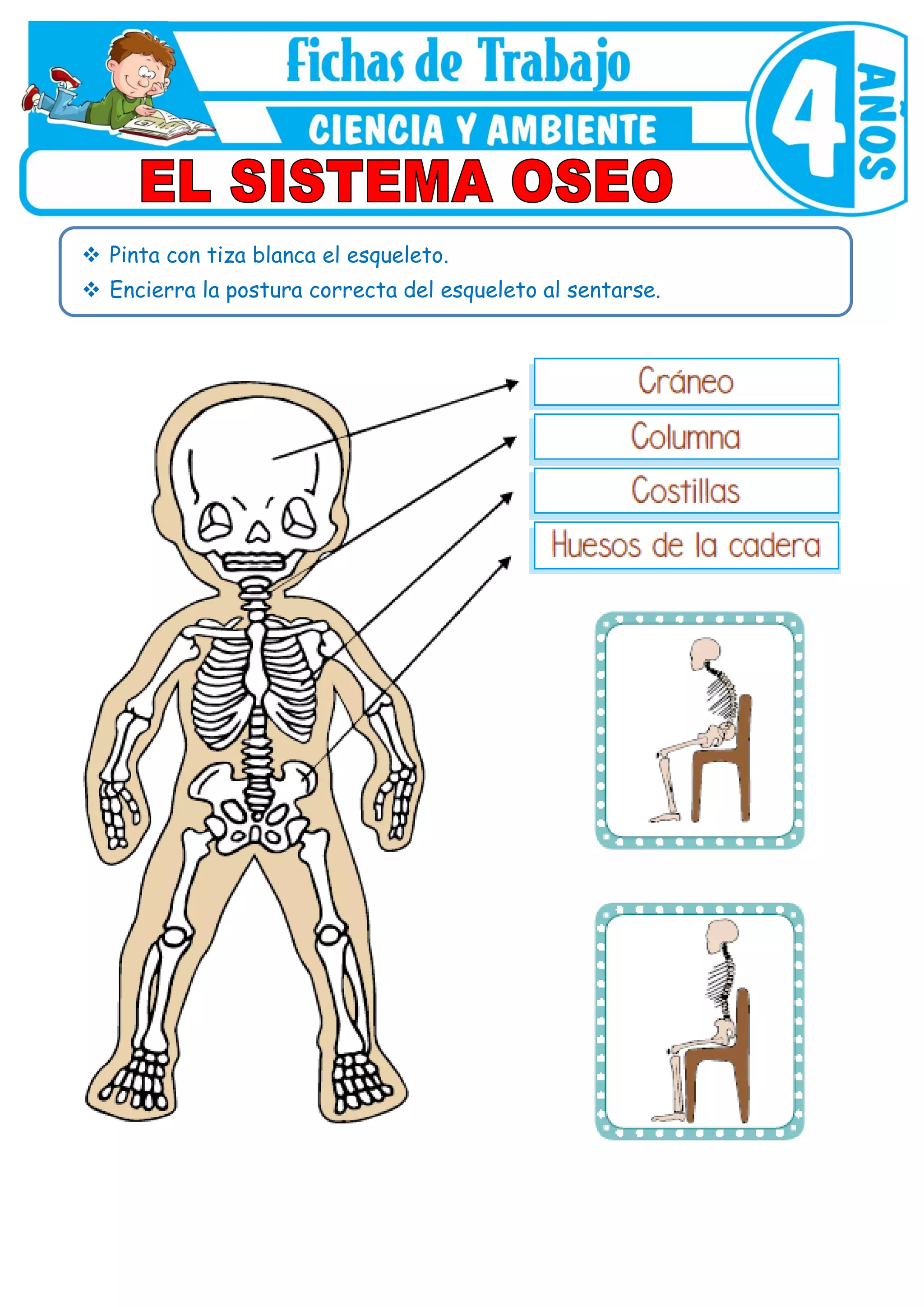 Fichas Del Esqueleto Humano Para Nios Imprimir En Pdf Juegos