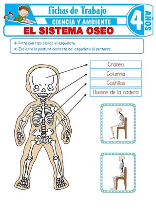 Fichas de Trabajo
 Pinta con tiza blanca el esqueleto.
 Encierra la postura correcta del esqueleto al sentarse.
 