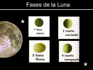 Fases de la Luna 
