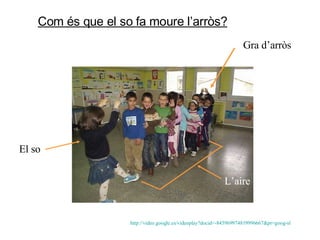 Com és que el so fa moure l’arròs? Gra d’arròs L’aire El so http :// video.google.es / videoplay?docid =-845969974819996667& pr = goog - sl   