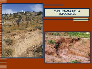 INFLUENCIA DE LA TOPOGRAFÍA 