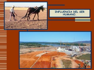 INFLUENCIA DEL SER HUMANO. 