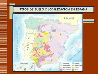 TIPOS DE SUELO Y LOCALIZACIÓN EN ESPAÑA 