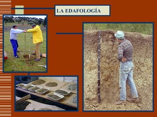 LA EDAFOLOGÍA 