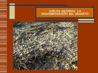 SUELOS SILÍCEOS. LA DESCOMPOSICIÓN DEL GRANITO 