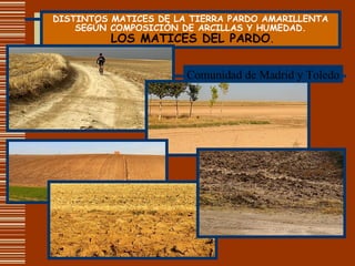 DISTINTOS MATICES DE LA TIERRA PARDO AMARILLENTA SEGÚN COMPOSICIÓN DE ARCILLAS Y HUMEDAD.   LOS MATICES DEL PARDO . Comunidad de Madrid y Toledo 