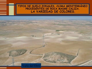 TIPOS DE SUELO ZONALES, CLIMA MEDITERRÁNEO PROCEDENTES DE ROCA MADRE CALIZA.   LA VARIEDAD DE COLORES. Valle del Ebro 