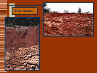 TERRA ROSSA 